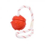 デンタル・ケアの犬用おもちゃ