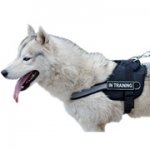 多目的なナイロン製の犬訓練用ハーネス