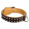 犬用スパイク・カラー（ナッパ革の裏打ち付）