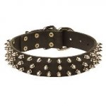 三列のスパイク付き首輪