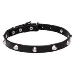 クロームメッキスタッズ付き本革製の犬用首輪