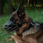 中型犬用のワイヤー製口輪（マズル）