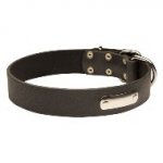 迷子札付き犬用首輪