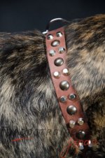 カネコルソ 首輪　革製　幅広いアイテム　かっこいいデザイン