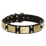 プレート・スタッズ付き本革首輪
