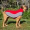 犬　コート　悪い天気の散歩用　ナイロン製　防寒