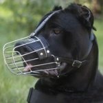 カネ・コルソ用ワイヤー製口輪