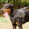Multifunctional Nylon Dog Harness for Doberman