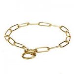 中型犬用真鍮製のチョークチェーンカラー