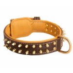 ナッパレザーの裏打ち付きの犬用スパイク・カラー