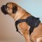 多機能のナイロン製中・大型犬用ハーネス（胴輪）