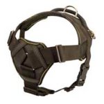 新製品！多機能のナイロン製ハーネス