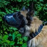 犬の日常用 革製口輪