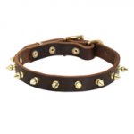 小・中型犬用スパイク付き首輪