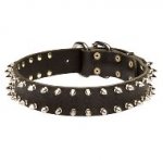 二列のスパイク付きレザー・カラー