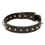 本革のスパイク・カラー　中・大型犬用