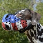 高級な革製の犬用デコ・マズル