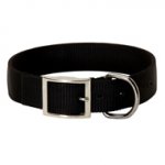 二枚のナイロンの犬用首輪