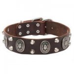 オーバルコンチョ＆スタッズ付き犬用革の首輪