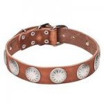 中・大型犬用の丸いスタッズ付きの革製首輪