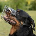 中、大型犬用バスケット型口輪（マズル）