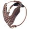 Walking Leather Dog Harness with Pyramids