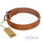 ‘Golden’n’Silver Luxury’ FDT Artisan デザインのデコ革首輪