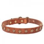 犬の散歩用の本革製首輪（スタッズ付き）