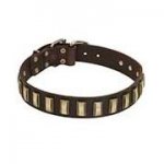 黄銅のプレート付き革の首輪（中・大型犬用）