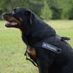 ナイロン製犬用ハーネス　（胴輪）