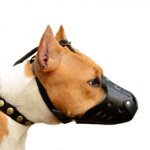 日常用革製アムスタッフ向けの口輪