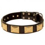 幅広い黄銅プレート付き革の首輪