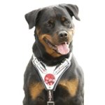 手描き模様！中～大型犬用本革製ハーネス