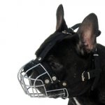 フレンチブルドッグ用ワイヤー製口輪