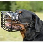 耐寒のゴム引きの犬の口輪（ロットワイラー用）