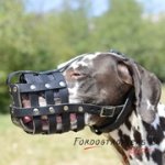 中・大型犬用高級の革製口輪