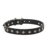 銀色のスタッズ付き本革首輪