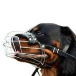 中・大型犬用ワイヤーのマズル