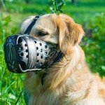 手描き模様付レザーの口輪　(中・大型犬用)