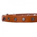 小・中型犬用ニッケルのスタッズ付き首輪