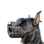 シュナウザー用メッシュタイプ革製口輪