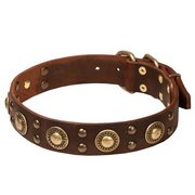 真鍮コンチョ・スタッズ付き革首輪（中・大型犬）40mm