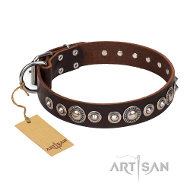 ‘Step and Sparkle’ FDT Artisanデザインのコンチョ装飾付き茶色い革首輪 ‘Step and Sparkle’ FDT Artisanデザインのコンチョ装飾付き茶色い革首輪