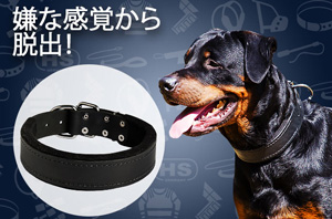 フェルト付きの革首輪