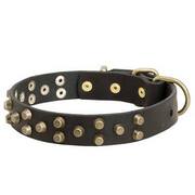 真鍮製のコニカル・スタッズ付　犬用首輪