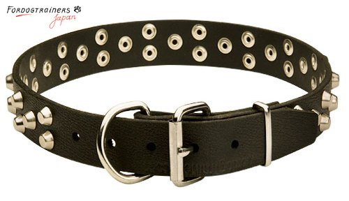 studded leather collar