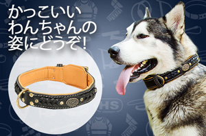 クロームメッキ鋼のスタッズ付き本革製首輪