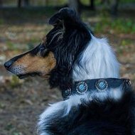 コンチョ付 革製 犬用首輪 コンチョ付 革製 犬用首輪