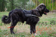 大型犬 ハーネス ナイロンハーネス 大型犬 ハーネス ナイロンハーネス