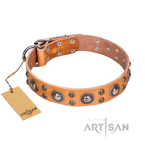 Extra Sparkle Fdt Artisan スタッズ付 革製 犬用首輪 Fdt Artisan 絶妙なデザインスタッズ付 本革製 犬用首輪 Extra Sparkle Fdt Artisan スタッズ付 革製 犬用首輪 Fdt Artisan 絶妙なデザインスタッズ付 本革製 犬用首輪